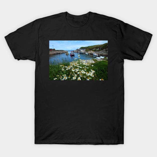 Ballintoy Harbour, Co Antrim, Northern Ireland T-Shirt by Ludwig Wagner